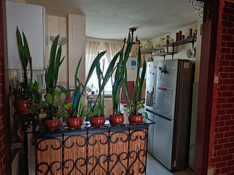 Apartament 4 camere, 79 mp, lângă pădure, Mănăștur - 2