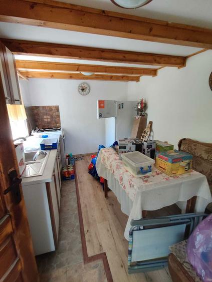 Casa moderna, cu foisor, anexe, gratar, renovata integral, 2100 mp curte livada - 8