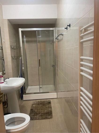 brancoveanu alunisului vultureni - 2