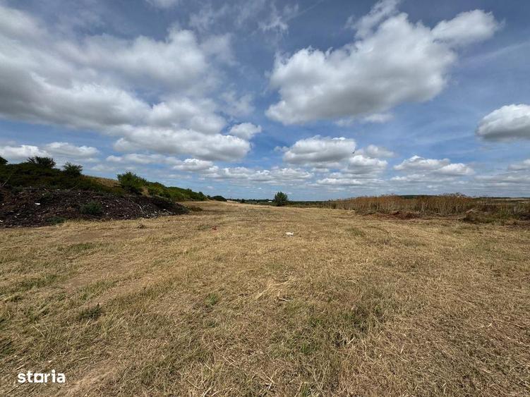 Teren Extravilan Biharia - 2