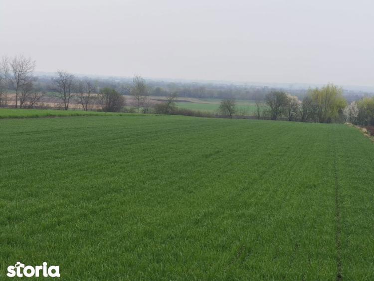 Teren 6000mp, 30 ml deschidere la DN 2H, Horodnic de Jos, Radauti - 3