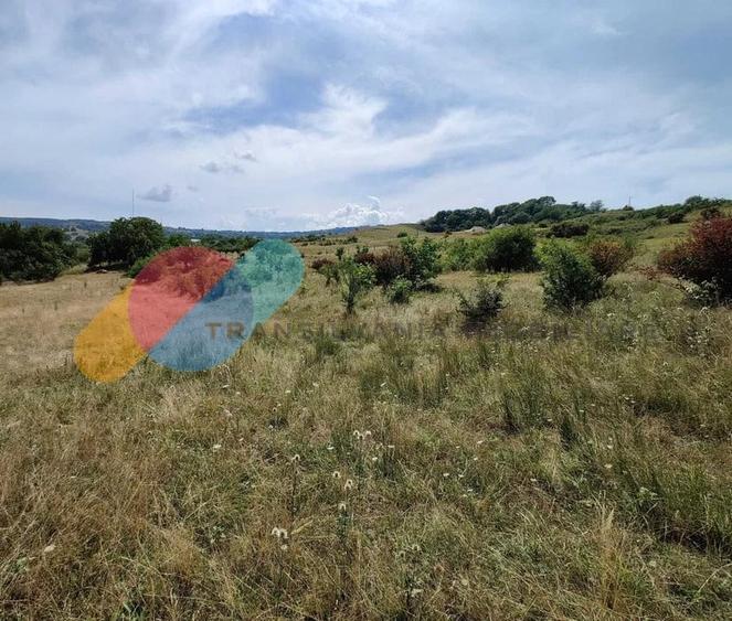 Teren intravilan 647 mp de vanzare in Borhanci – zona de urbanizare, PUZ in curs - 3