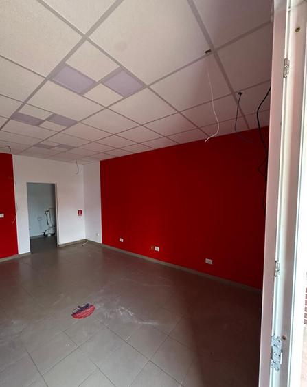 ? NEPTUN | SPA?IU COMERCIAL + GARSONIERA - 1