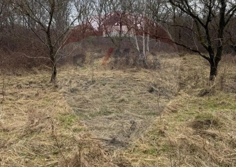 DE VANZARE Teren Strada Victoriei Baia Mare - 5