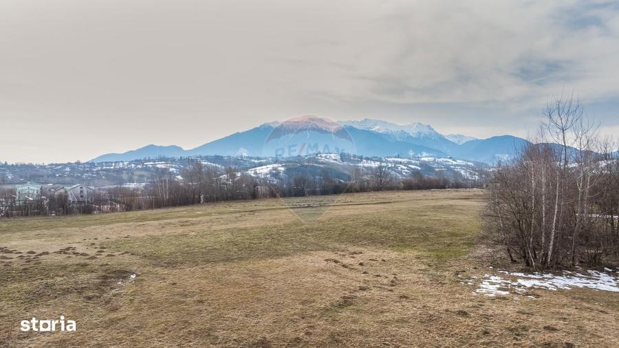 Teren Tohanul Nou 4500mp, in spate Wolf - 4