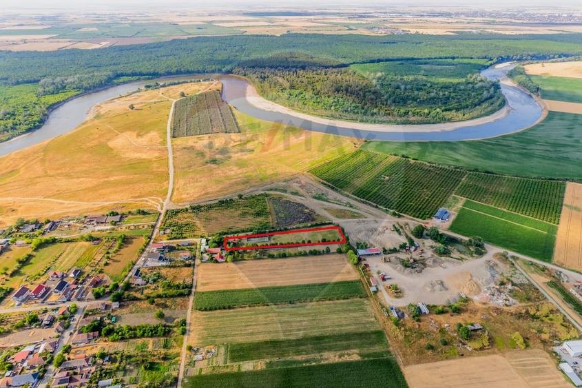 Ferma de cai andaluzi de vanzare - Zadareni - 14