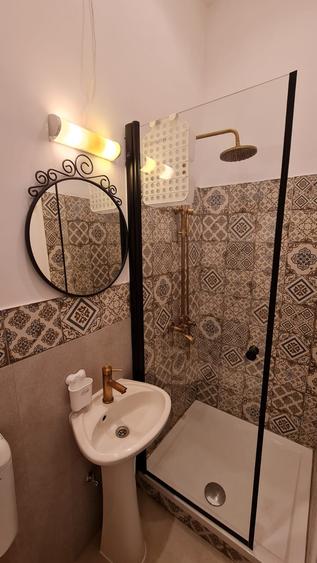 Apartament cu 1 Cameră de Vânzare în Timișoara – Balcescu - 4