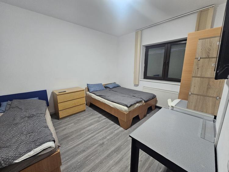 Proprietate speciala Dumbravita - casa individuala !! - 23