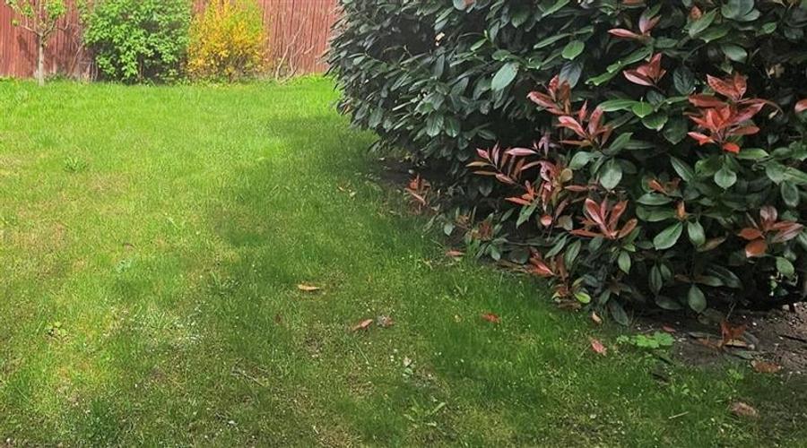 Vila cu 6 camere si 489mp teren, Andrei Muresanu - 21