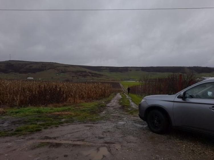 Imobiliare Maxim - teren livada in Daia - 3