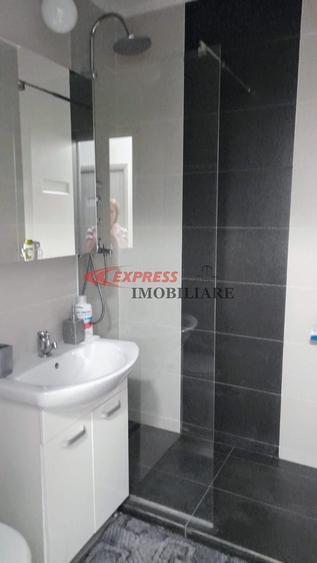 Dristor, Schitului, Renovata - 4