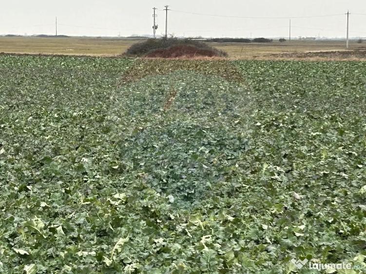 Teren intravilan 80500mp. aproape de nodul rutier de pe D... - 10