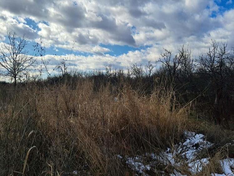 Gospodarie taraneasca in Cuca, Arges - ZERO comision la cumparator! - 13