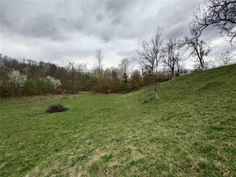 10 000 mp teren intravilan cu priveliste - 4