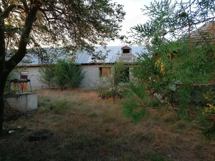 Vand teren intravilan plus casa in sat Potarnichea, Constan?a - 3