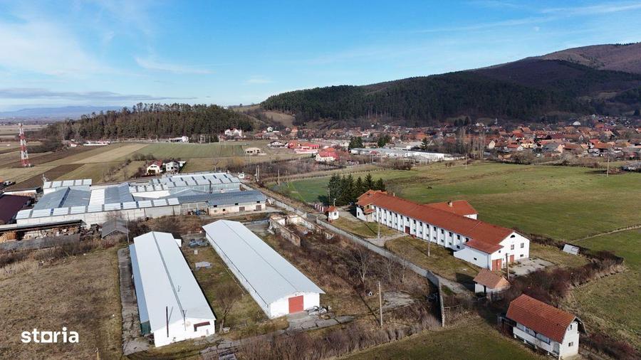 Teren intravilan 1.729 mp + hala partial demolata | Teliu I Comision 0 - 4