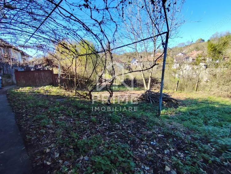 Casa Individuala 3 camere| 769 mp teren| zona Blaj - 10