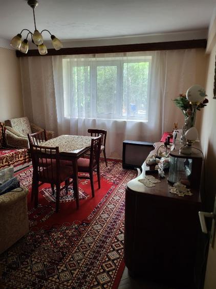 Vand apartament la Pitineiu, Teleorman - 2