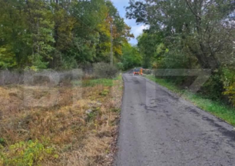 Teren intravilan parcelat - 2882 mp - Sat Bejan - 1