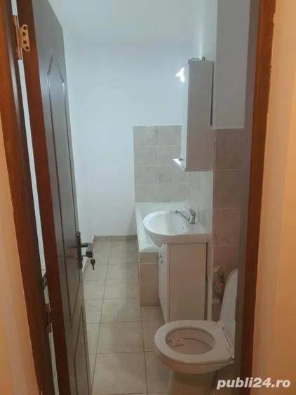 Lacul Tei, Parcul Circului, Lidl, Mega Image, semistradal dec bloc 1983 renovata 2022 mob utilata - 3