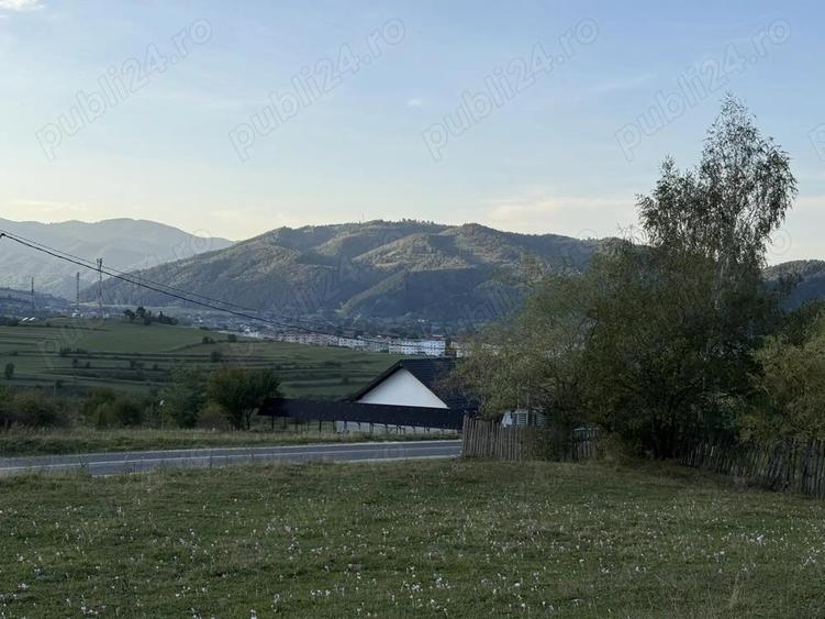Teren intravilan 500 sau 1000 mp Bran-Tohanita la dum asfaltat - 7