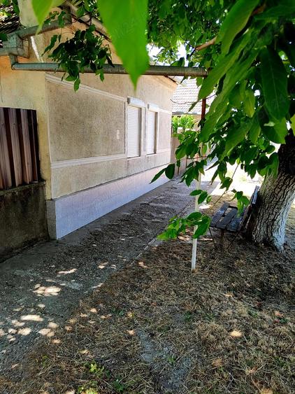 Casa + Curte + Teren arabil generos, Nerau, Teremia Mare, 1596 mp, locuibila imediat - 10