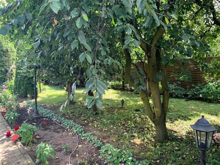 Film&3D!Vila Premium+casa scandinav al, pretios areal, 2.100 m teren Santana de - 25