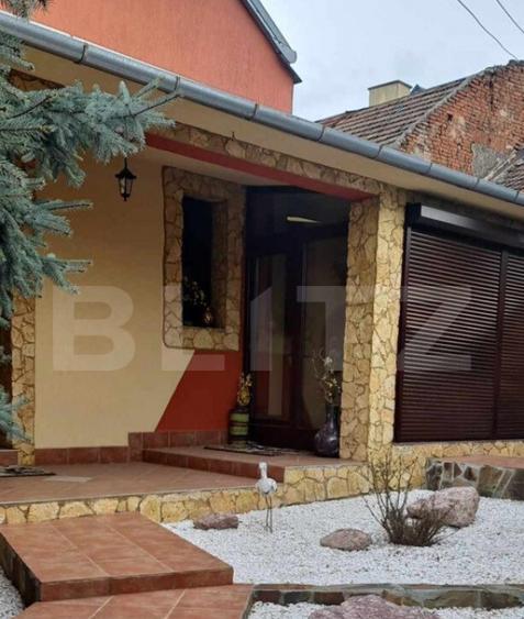 Casa Evreiasca Ta?nad, Zona Centrala - 5