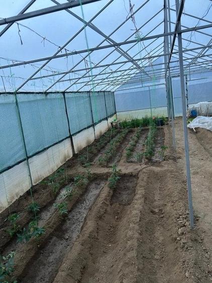 Casa + teren -centrala proprie -Cornetu -Ilfov - 24