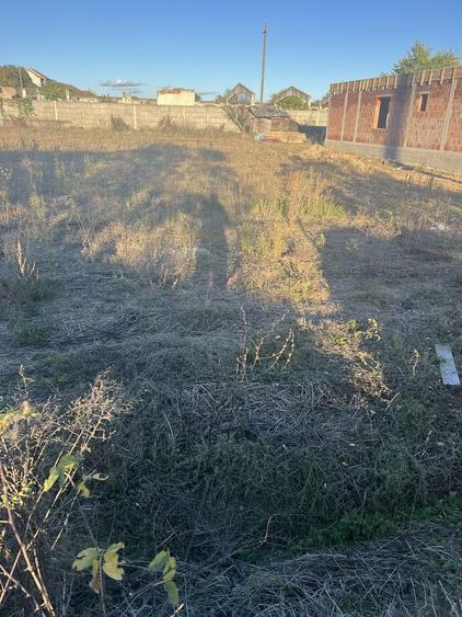 Teren de vanzare cu utilitati - 9