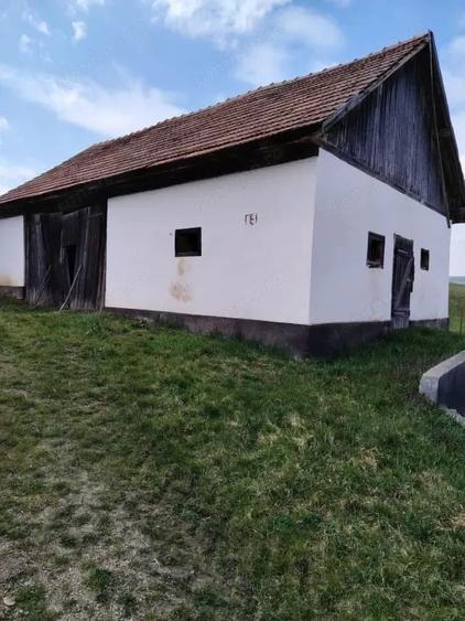 Se vinde casa cu anexe in Valea Calda - 8