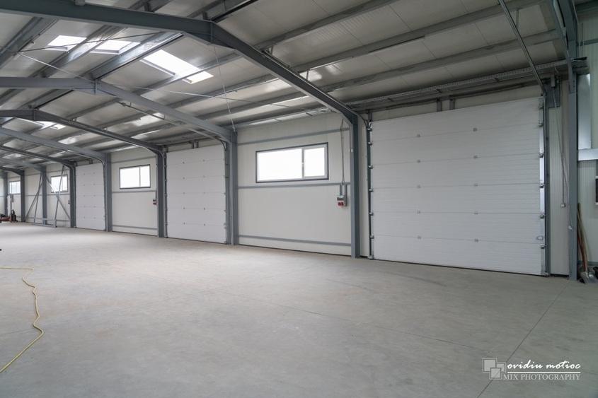 Hala 2022 singur la curte - 6