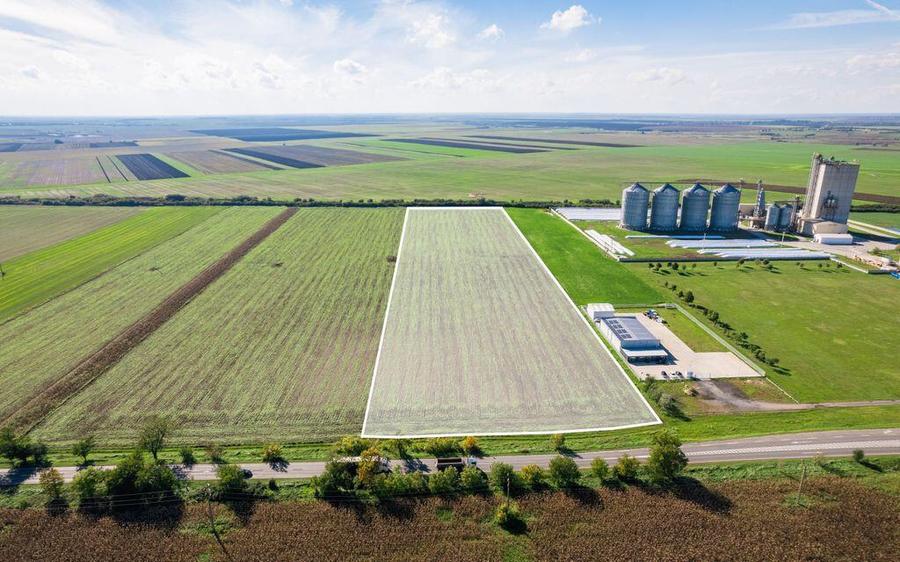 Teren de 104000 mp in Vinga - 3