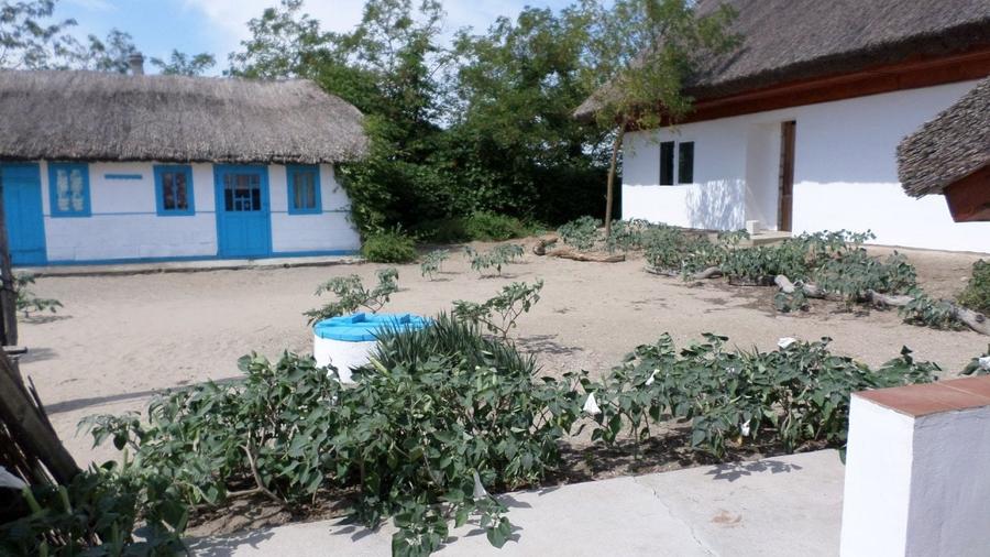 DELTA DUNARII, BIOSFERA, LETEA, Proprietate de VIS!  proprietar, - 16