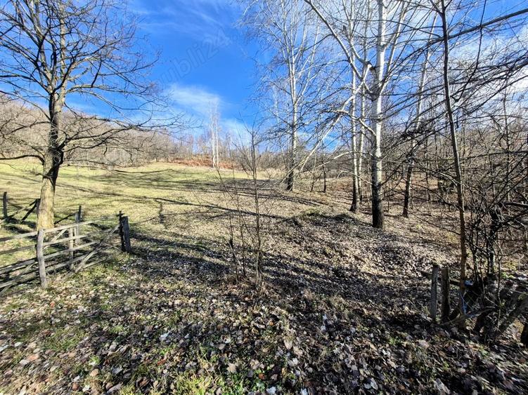 Casa cu teren 1750mp Horezu - 4