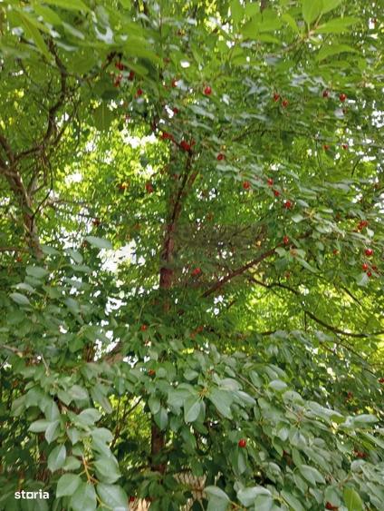 Casa demolabila cu teren de vanzare in Breaza - 1