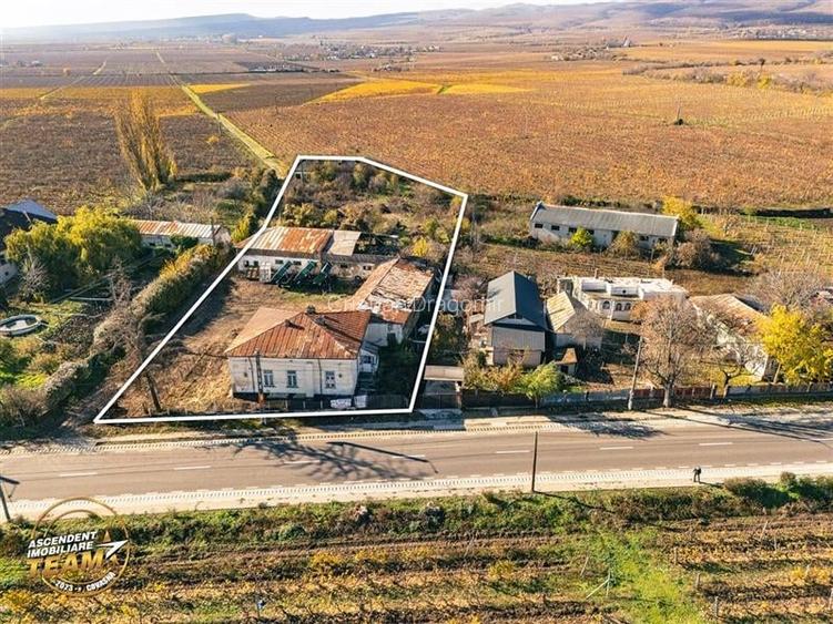 FILM! Casa boieresca autentica,domeniu de 4.000 mp intravilan,in podgoriile Odob
