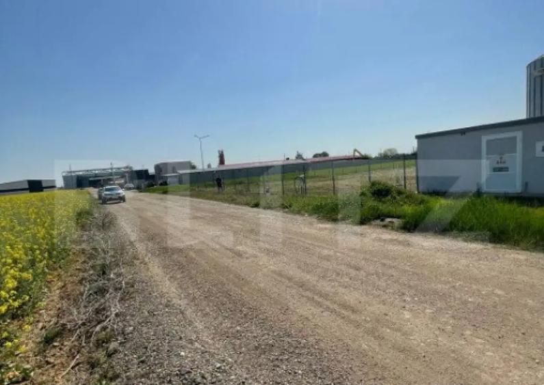 Teren intravilan de vanzare, 20.000 mp, zona-Santandrei\Pal - 4