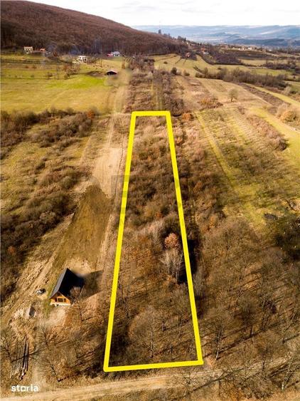 RECO Teren intravilan Zona Vadu Crisului Bihor - 8