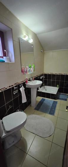 Casa de vanzare sau inchiriere Ana Ipatescu - 7