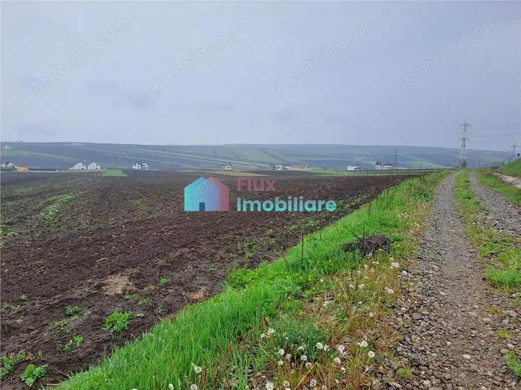 Teren intravilan 1219 mp in Sf. Ilie - 4