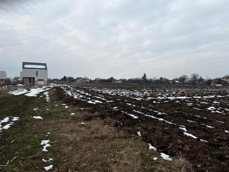 Tamasi -strada Livezilor - 2