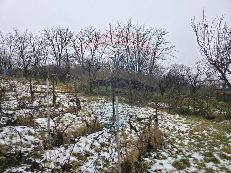 Teren intravilan 4,516mp Doina - 18