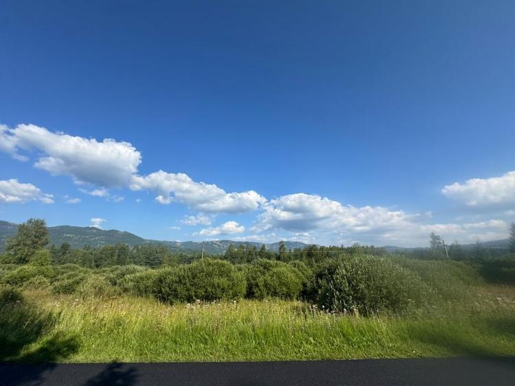 12700 mp investitie rezidentiala- turistica- medicala Tinovul Mic/Șaru Dornei - 4