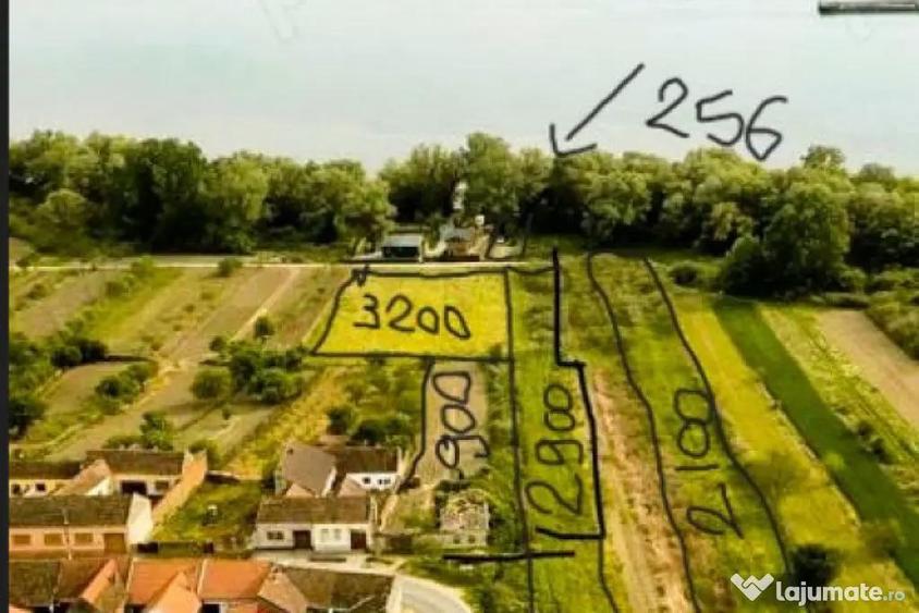 Teren de vanzare pe malul Dunarii Divici, Cara?-Sever - 2
