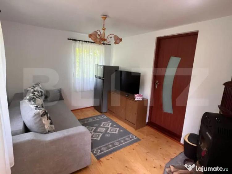 Casa de vacanta cu 4 camere, 1470 mp teren, Sugag - 9