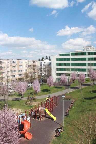 Proprietar . Vand Apartament 2 camere REnovat/Mobilat Manastur - 3