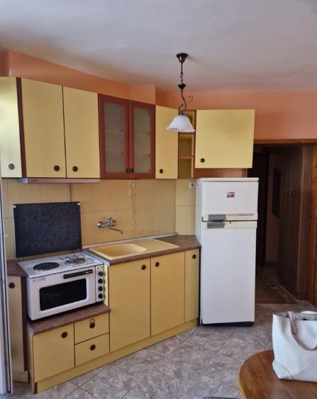 Garoniera de inchiriat in zona Carierei - 1