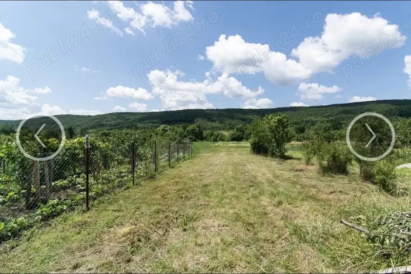 Casa cu teren 3500 mp la 11 km de Pite?ti - 4