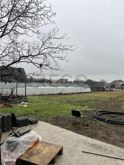 RECO casa 4 camere Livada de Bihor - 3